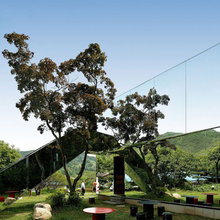 Glass/Mirror