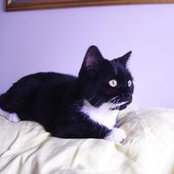 Lila Thrasher's photo