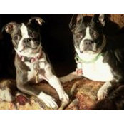 Bill Mcpeek's photo