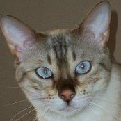 Jennifer Decess's photo