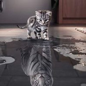 Steve Larson's photo