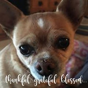 Nicole Temple's photo