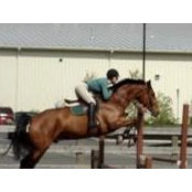 Jackie Schmitter's photo