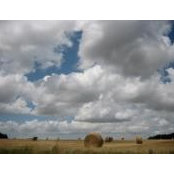 Jaco Van Delden's photo