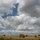 webuser_25479
