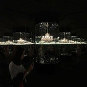 Sara Akbari's photo
