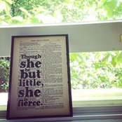 Krystle Mullin's photo