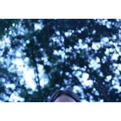 Vincenzo Vitrano's photo
