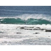 Jamie Allan's photo