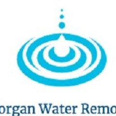 Fort Morgan Water Removal Pros