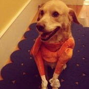 Beth Baldwin's photo