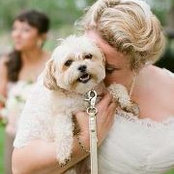 Annie Watsons foto
