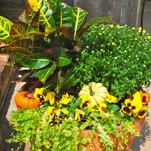 Gardens