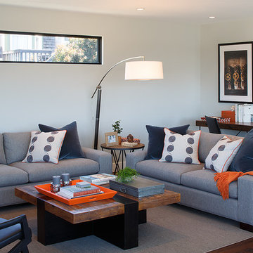 Modern SF house