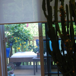 Design Screen Solar Shades Half Way Up - Window Treatments