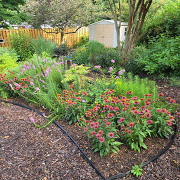 Established Native Plant Side Garden | Fairfax, VA