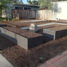 Landscape project