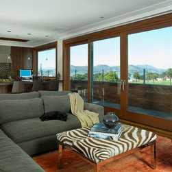 San Francisco Contemporary - Windows And Doors
