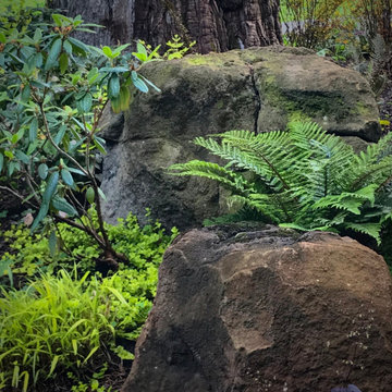 Vibrant Piedmont Front Yard