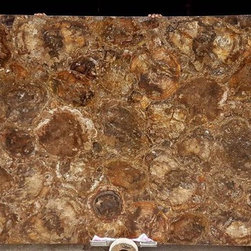 Granites-petrified wood semiprecious stone - Kitchen Countertops