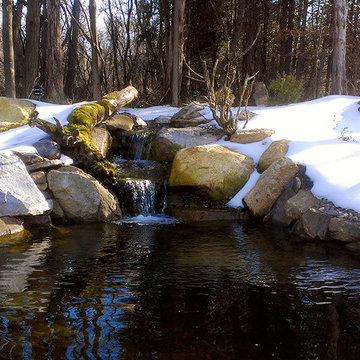 Ecosystem pond