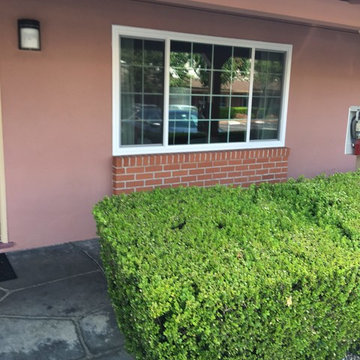 Window & Door Replacement