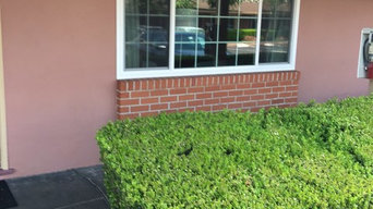 Window & Door Replacement