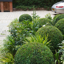 Garden Ideas