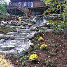 Betsie Backyard