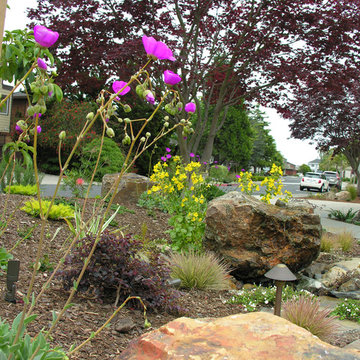 Pt. Richmond Modern Front Yard with Patio