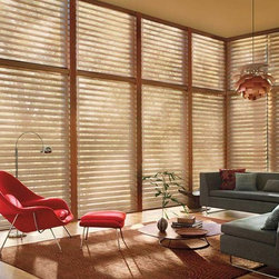 Silhouette&trade; Window Shadings - Window Treatments