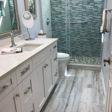 Country Club Guest Bathroom Re-Fresh