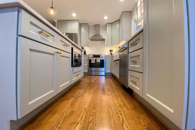 Inspiration for a kitchen remodel in DC Metro