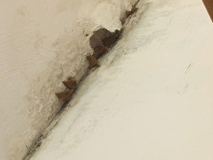 Wierd Damage After Leak From Upstairs Neighbors Bathroom