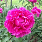 Lori Cordova-Romero's photo