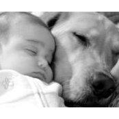 Kim Alfano's photo