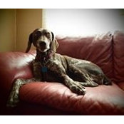 Storm Moinier Becevel's photo