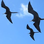 James Gill's photo