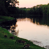 H's photo
