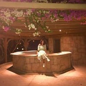 Aya Nasr's photo