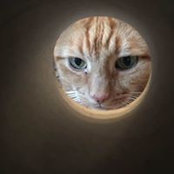 Matt Rigby's photo