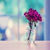 Farhana Blomgren's photo