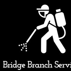 Bridge Branch Services