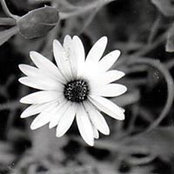 Kenia Rodezno's photo