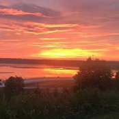 Robert Proctor's photo