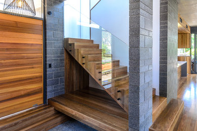 Large modern foyer in Brisbane with white walls, medium hardwood floors, a pivot front door and a medium wood front door.