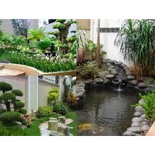 Patio Ideas
