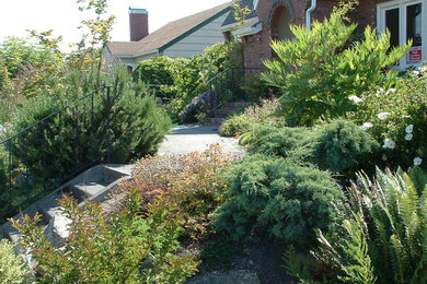Photo of a mid-sized contemporary front yard full sun xeriscape for winter in Seattle with a garden path and mulch.