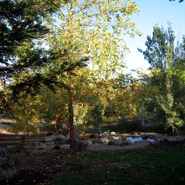 Skinner Winery El Dorado County California
