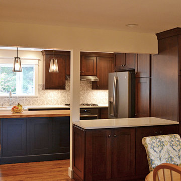 Modern Craftsman Kitchen Remodel